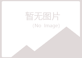 阳江江城雅山木材有限公司